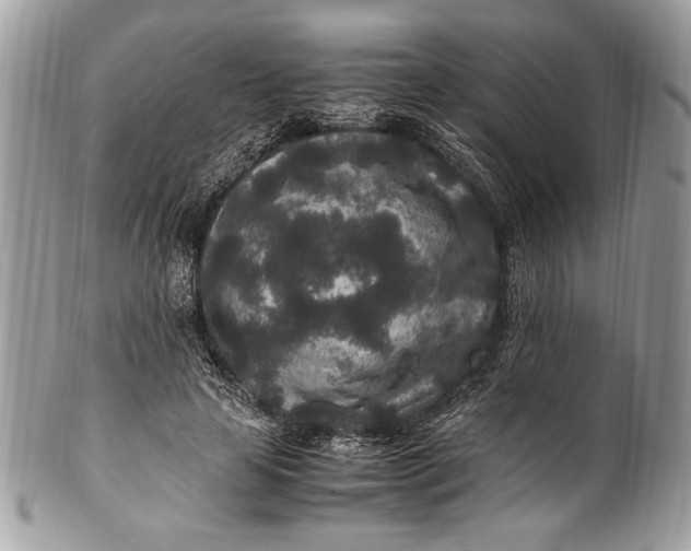 X0000100860641200807070934