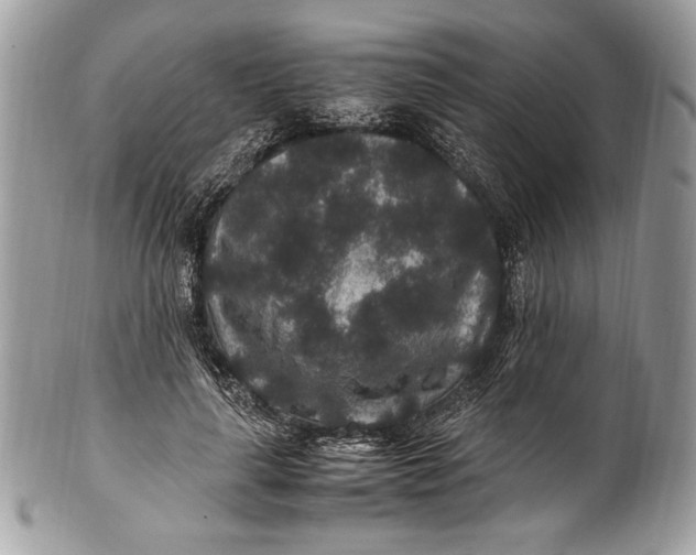 X0000100860643200807070934