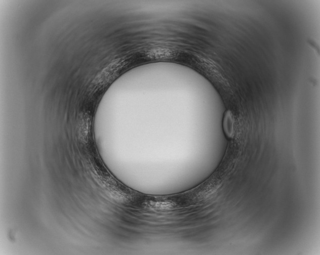 X0000100860645200807070934