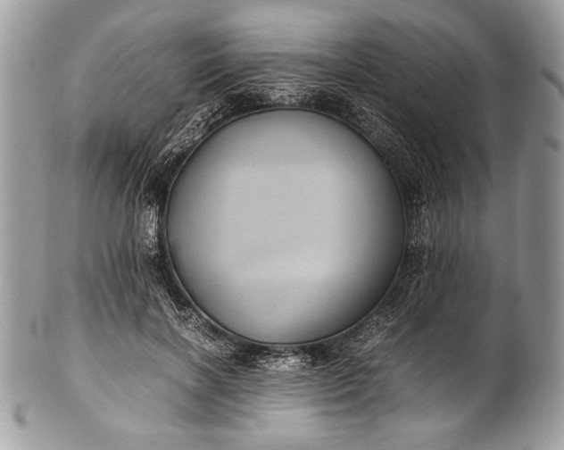 X0000100860646200807070934