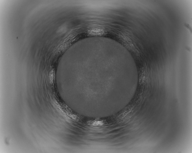 X0000100860647200807070934