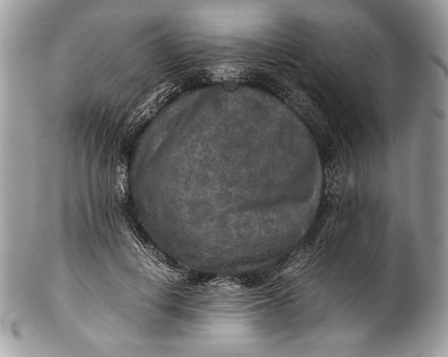 X0000100860648200807070934