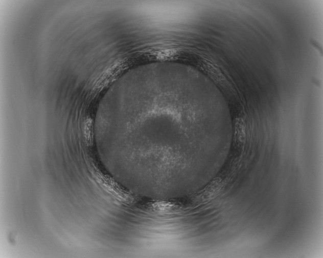 X0000100860650200807070934