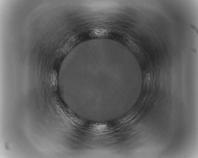 X0000100860651200807070934