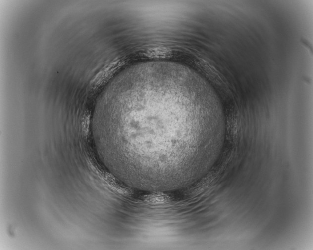 X0000100860652200807070934