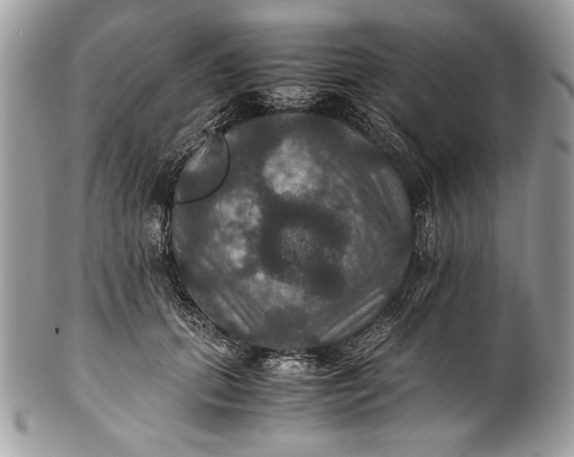 X0000100860655200807070934