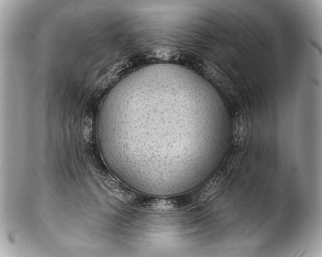 X0000100860656200807070934