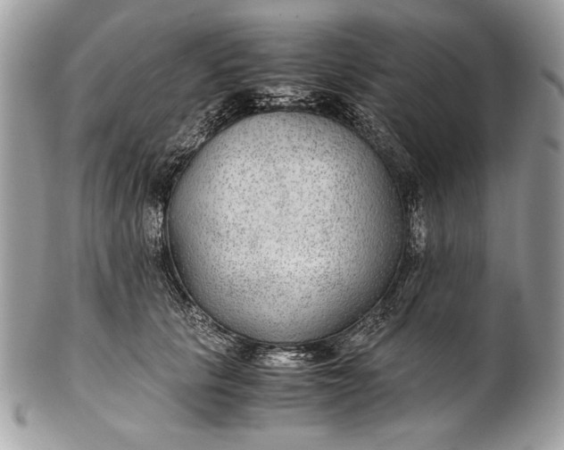 X0000100860657200807070934