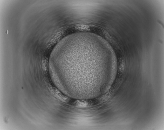 X0000100860658200807070934