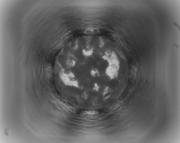 X0000100860659200807070934