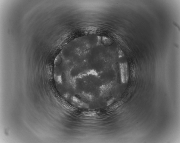 X0000100860661200807070934