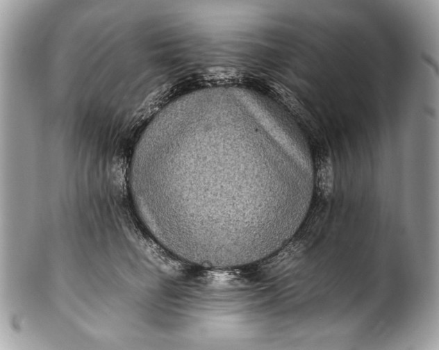 X0000100860662200807070934