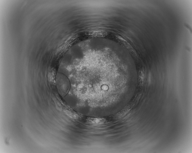 X0000100860663200807070934