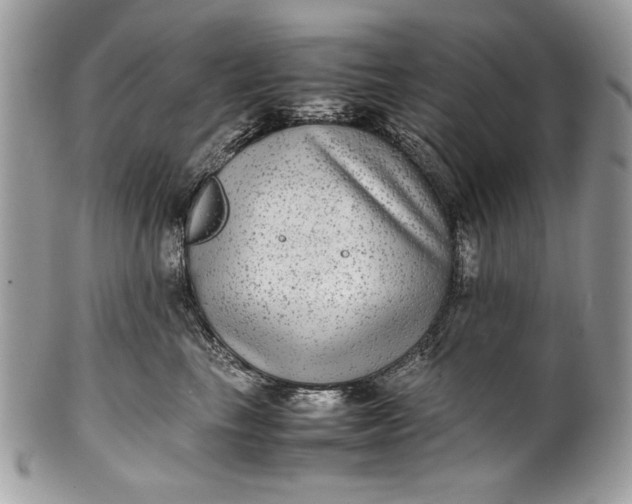 X0000100860665200807070934