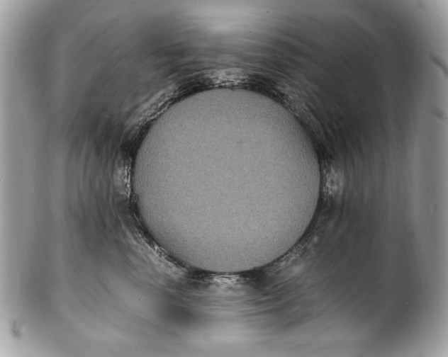 X0000100860666200807070934