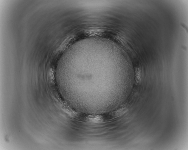 X0000100860667200807070934