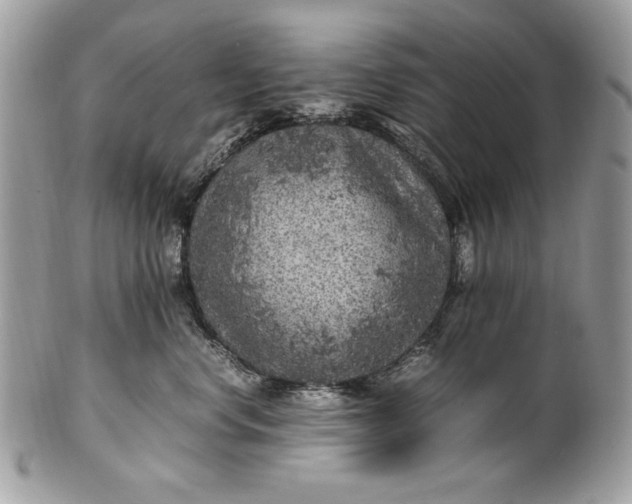 X0000100860668200807070934