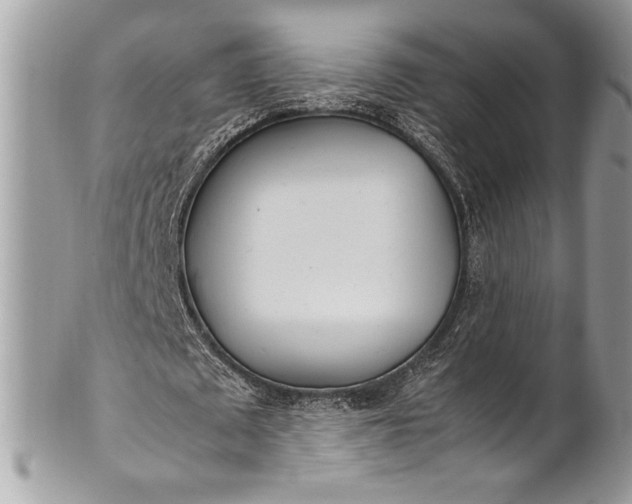 X0000100860673200807070934