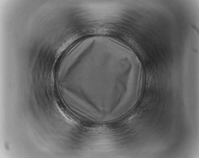 X0000100860674200807070934