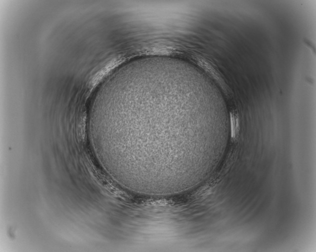 X0000100860675200807070934