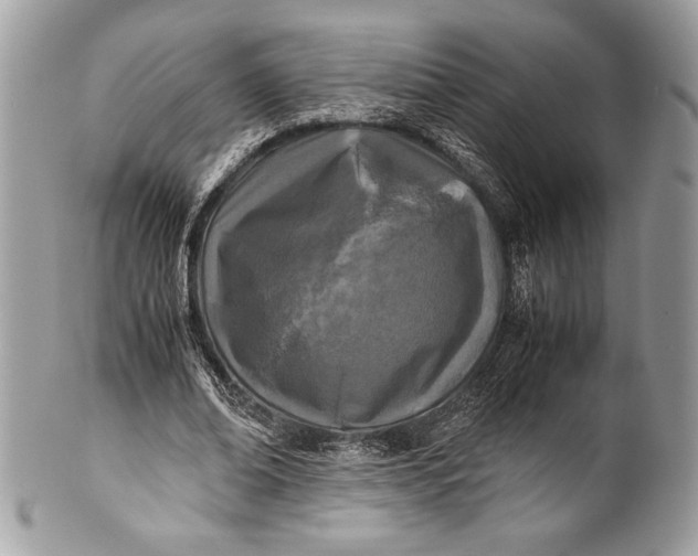 X0000100860678200807070934