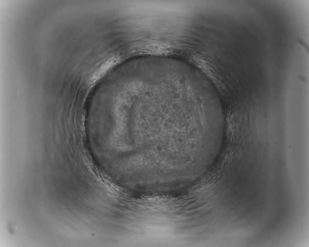 X0000100860679200807070934