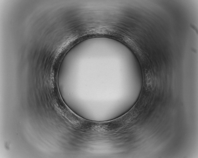 X0000100860680200807070934