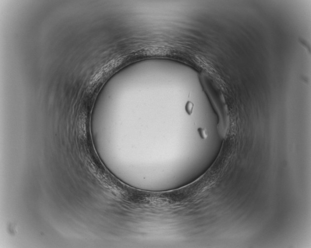 X0000100860681200807070934