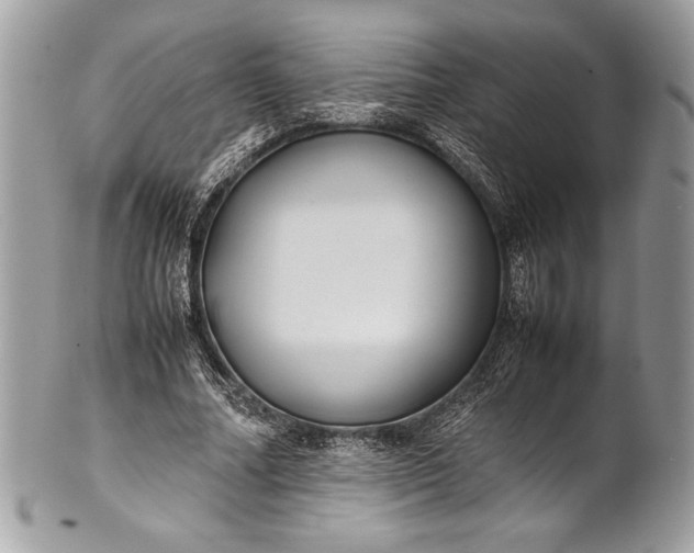 X0000100860682200807070934