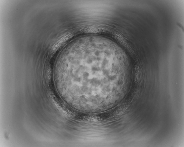 X0000100860683200807070934