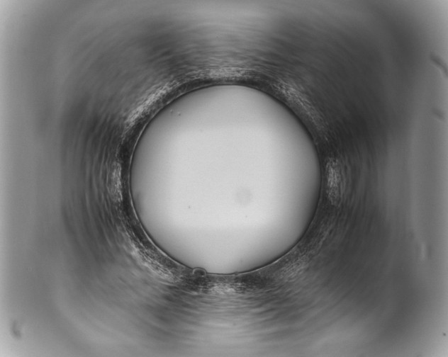 X0000100860684200807070934