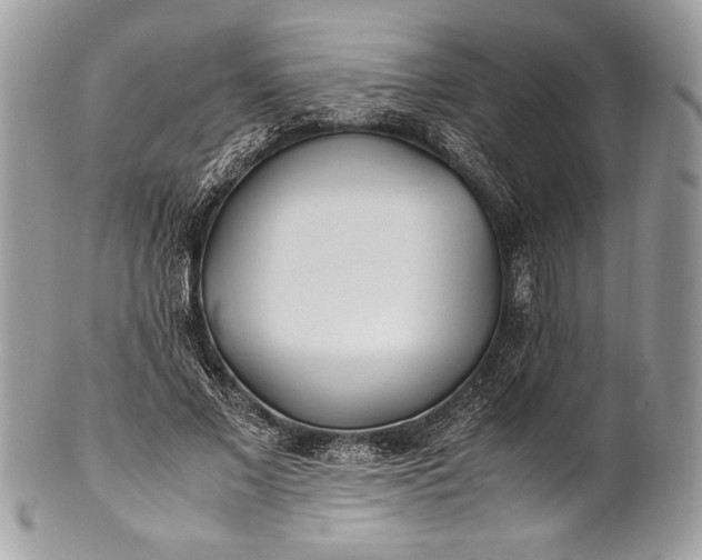 X0000100860685200807070934