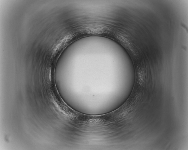 X0000100860686200807070934