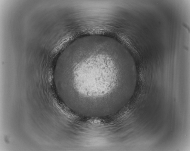 X0000100860687200807070934