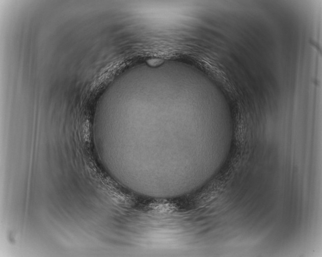 X0000100860689200807070934