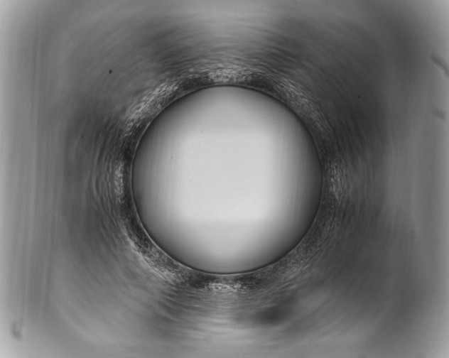 X0000100860690200807070934