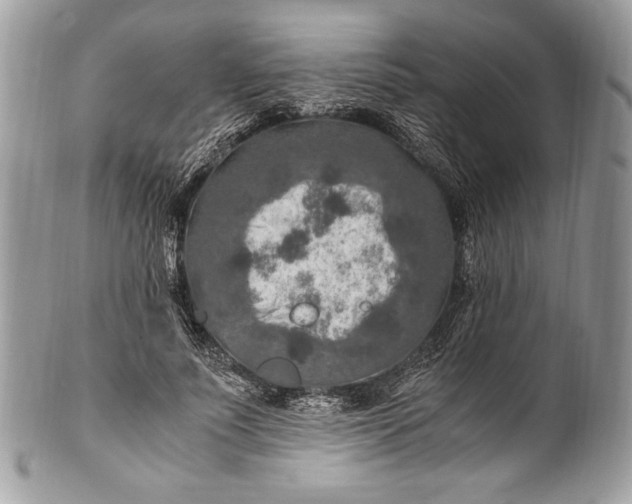 X0000100860691200807070934