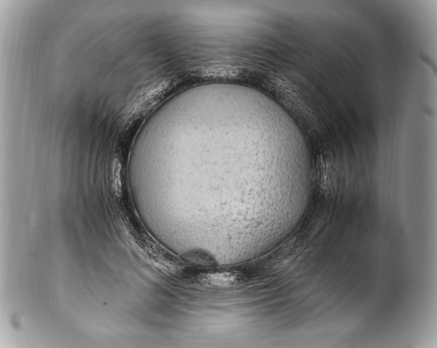 X0000100860692200807070934