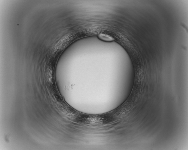 X0000100860693200807070934