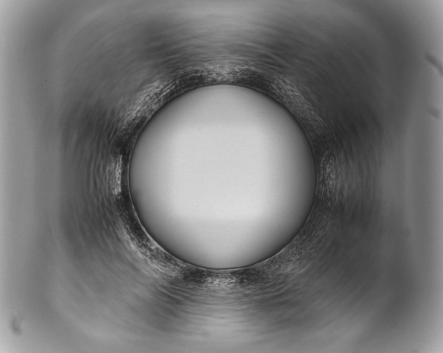 X0000100860694200807070934