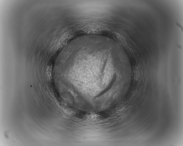 X0000100860695200807070934