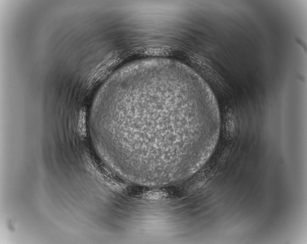 X0000100860696200807070934