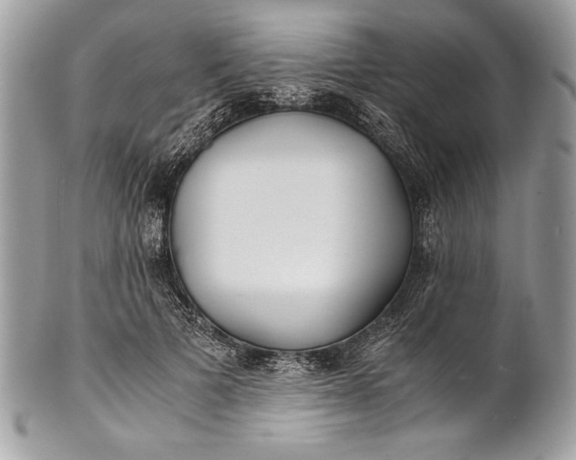 X0000100860697200807070934