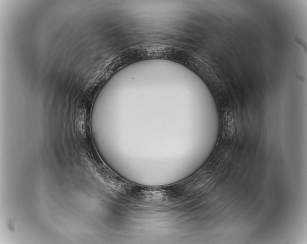 X0000100860698200807070934