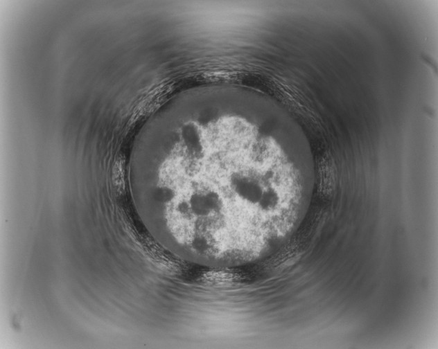 X0000100860699200807070933