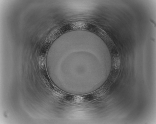 X0000100860701200807070933