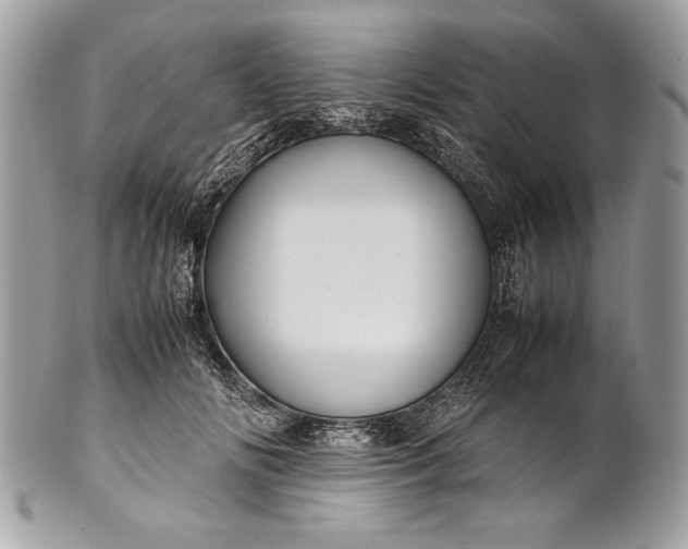 X0000100860702200807070933