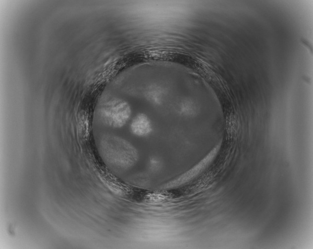 X0000100860703200807070933