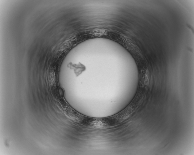 X0000100860704200807070933