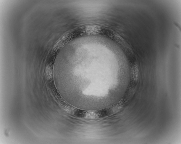 X0000100860705200807070933